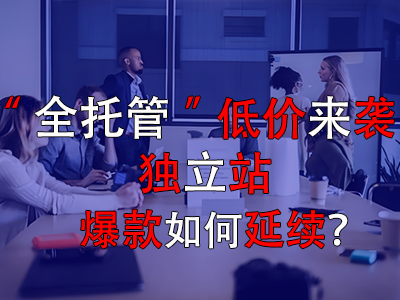 全托管低價來襲，獨立站爆款如何延續(xù)？